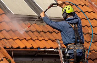 Démoussage et hydrofuge de toiture à Pouru-Saint-Remy